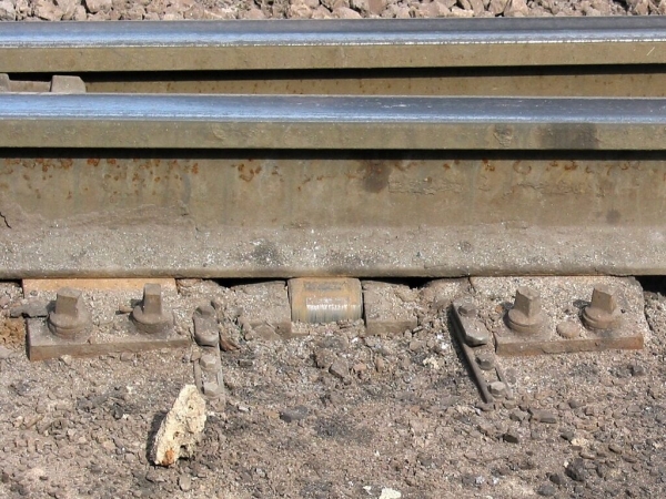 9bd363c5-ddc3-47c0-8d5a-575ee37996ea.jpg
